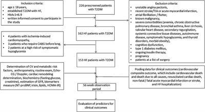 Serum Levels of Irisin Predict Cumulative Clinical Outcomes in Heart Failure Patients With Type 2 Diabetes Mellitus